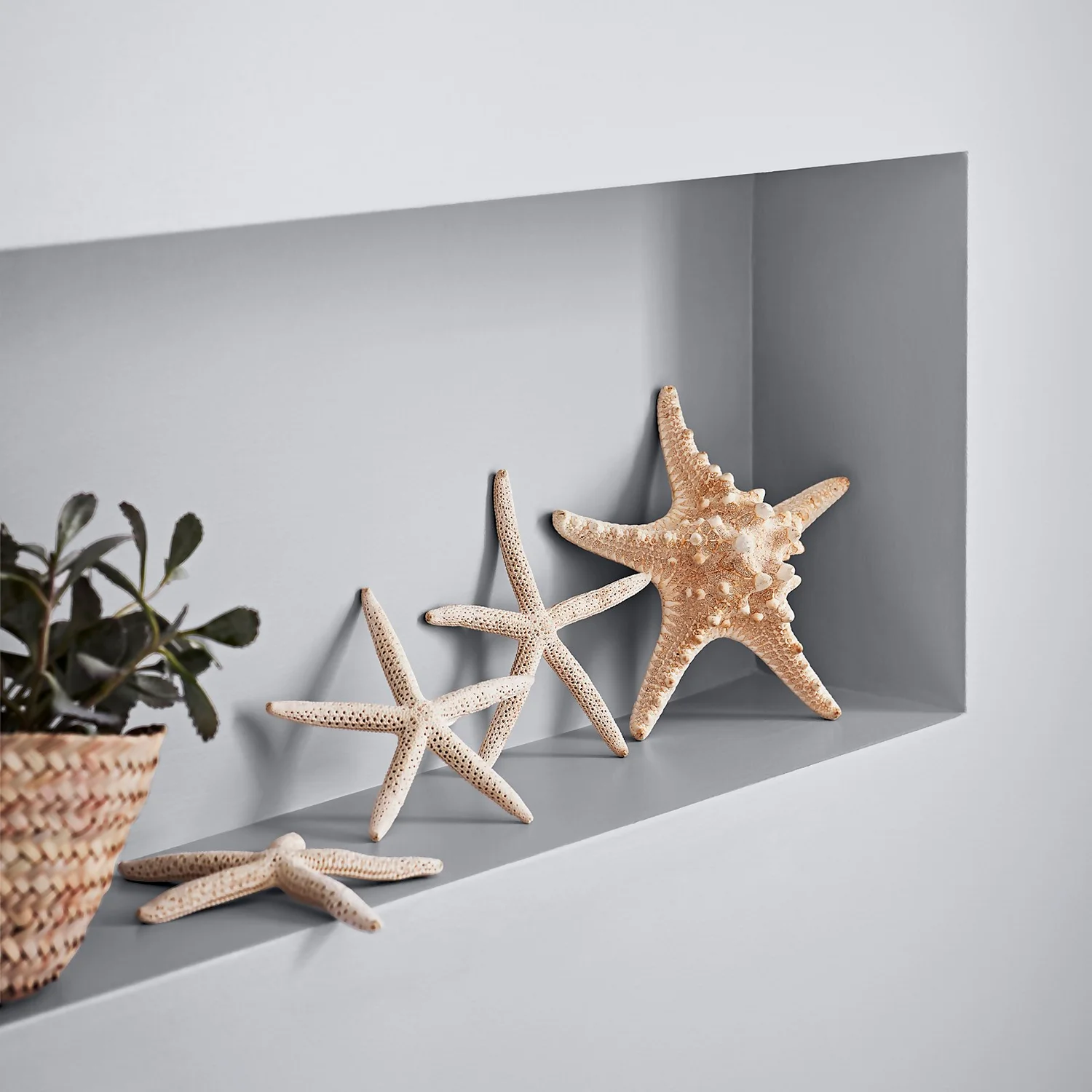 Crown Easyclean® Mouldguard+ Bathroom Mid Sheen Washable Multi Surface Paint Soft Steel® - 2.5 L Crown Easyclean® Mouldguard+ Bathroom Mid Sheen Washable Multi Surface Paint Soft Steel® - 2.5 L -Deals Furniture Store 12886778 1754853415909762