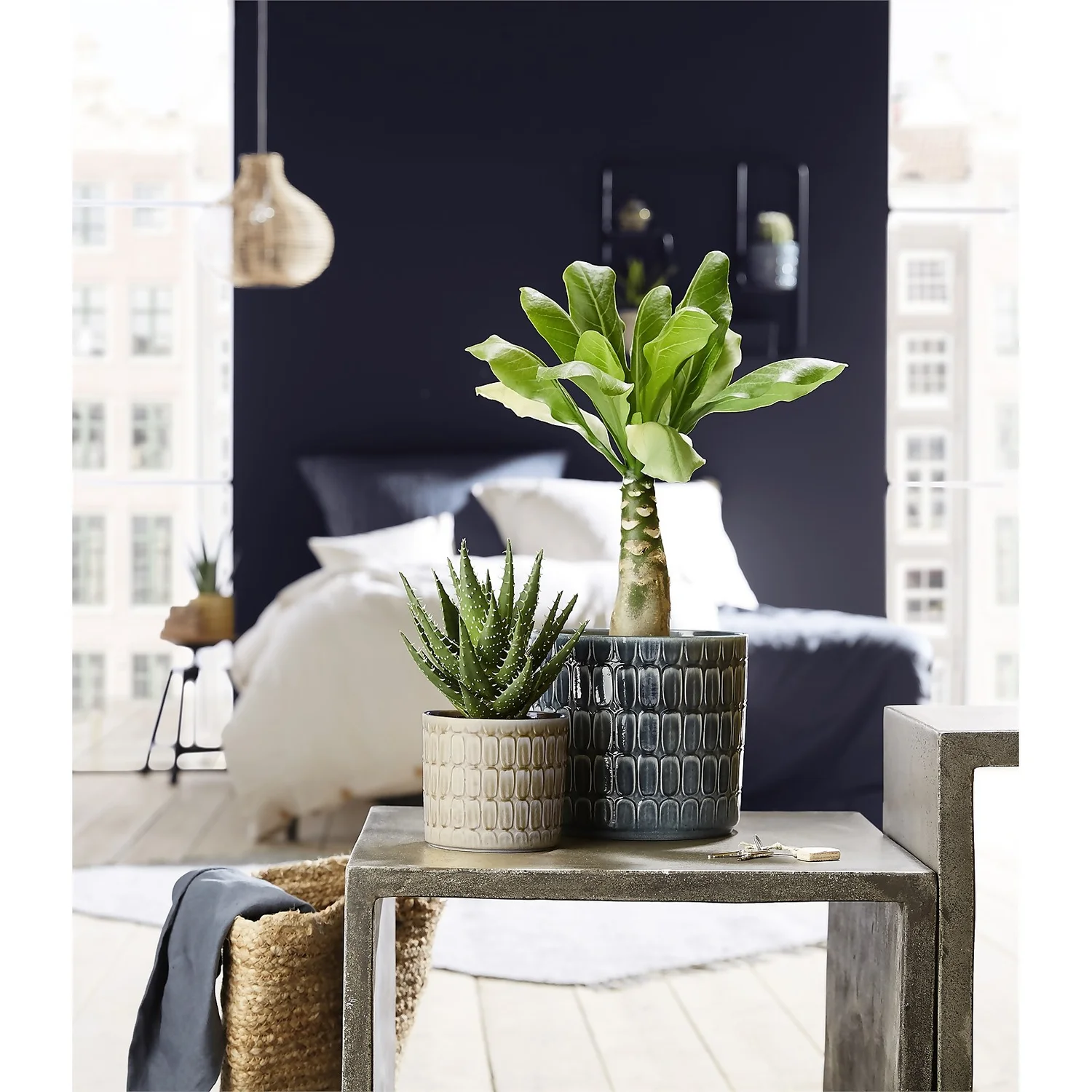 Scheurich Elna Yellow Ceramic Pot - 16cm Scheurich Elna Yellow Ceramic Pot - 16cm -Deals Furniture Store 12912158 1254845868136031