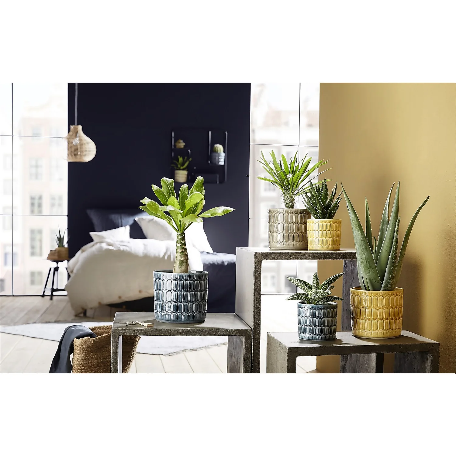 Scheurich Elna Yellow Ceramic Pot - 16cm Scheurich Elna Yellow Ceramic Pot - 16cm -Deals Furniture Store 12912158 7074845868108569