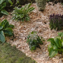 Westland Rustic Wood Chips - 60L -Deals Furniture Store 13280769 1564929084866478