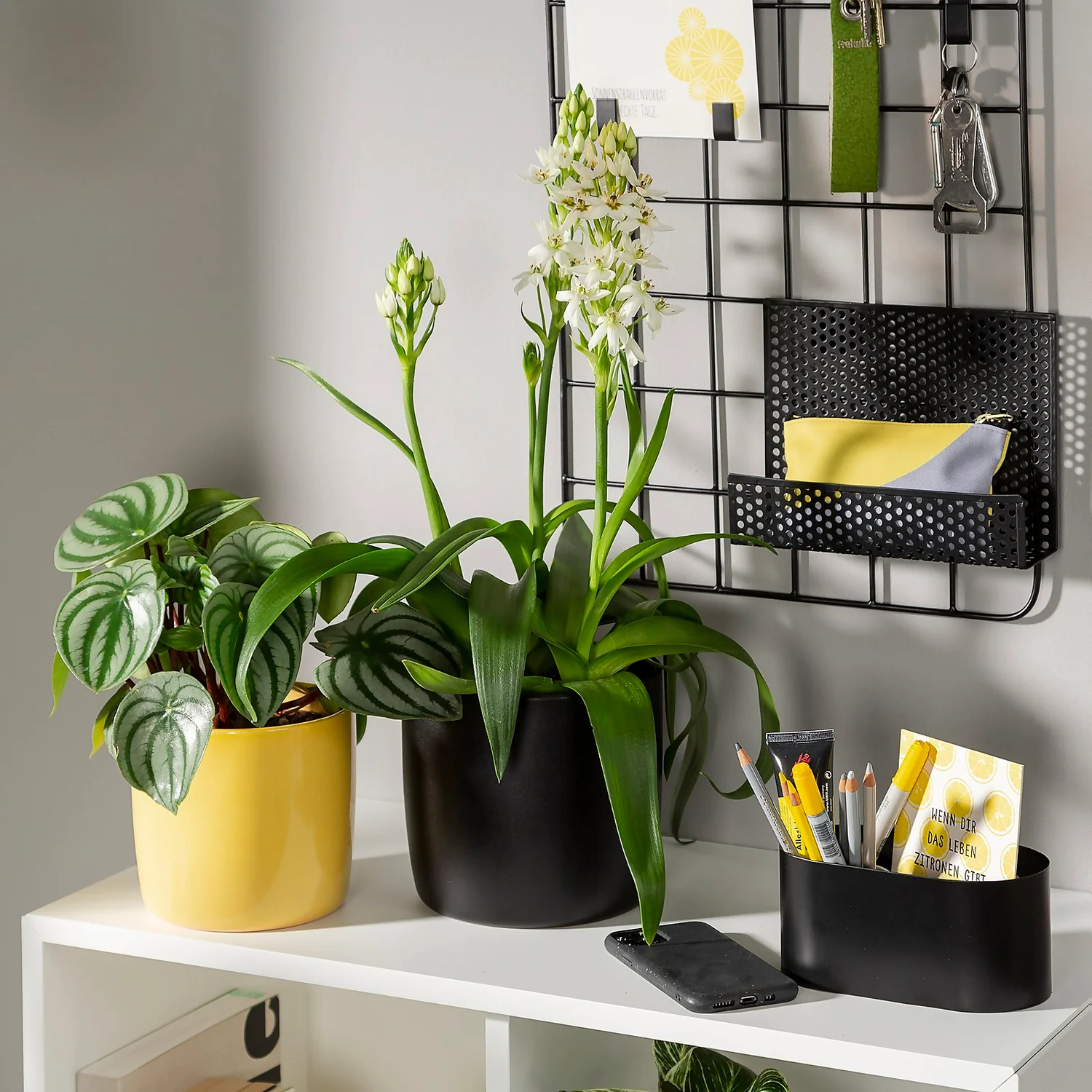 Yellow Solare Plant Pot - 18cm Yellow Solare Plant Pot - 18cm -Deals Furniture Store 13432905 3824914561556098