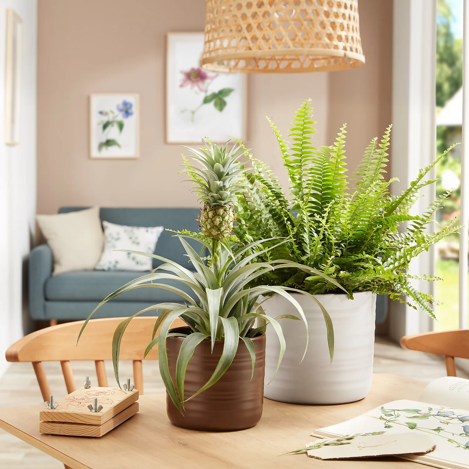 Scheurich Ripple Brown Indoor Pot - 23cm Scheurich Ripple Brown Indoor Pot - 23cm -Deals Furniture Store 13953261 1874987120067466