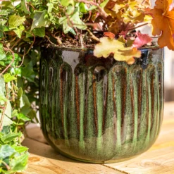 Chiswick Running Pot Green - 18cm -Deals Furniture Store 13973646 1195011239154089