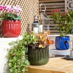 Chiswick Running Pot Green - 18cm -Deals Furniture Store 13973646 6585011239202647