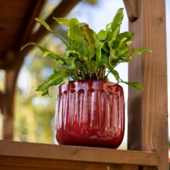 Chiswick Running Pot Red - 18cm -Deals Furniture Store 13973651 1775011238634708