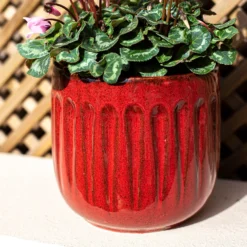 Chiswick Running Pot Red - 18cm -Deals Furniture Store 13973651 1995011238682963