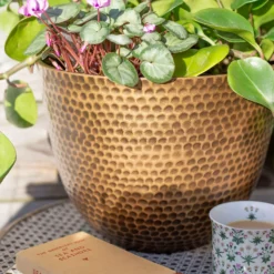 Suva Hammered Pot Bronze - 38cm -Deals Furniture Store 13973655 9525011805626407